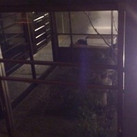 先斗町 魯ビン - 