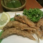 和食処 天きん - 2010/07/09　姫アユの唐揚げ（500円）