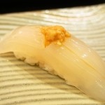帆掛鮨 - 烏賊（2015年11月）