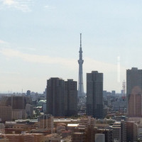 タピルージュ - 