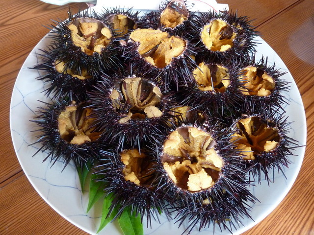 民宿 あおしま荘 &ndash; 南三陸町志津川の海鮮料理民宿