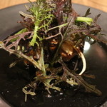 レストラン タケウチ - 黒大根、芥子菜　越前マルカワ味噌で