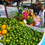 迪化街金桔檸檬 - 街角の柳丁オブジェに、皆さん見とれてしまいます。