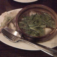 coci - 