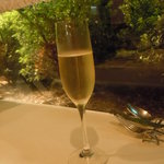 プルミエアベニュー - （2010年5月）