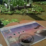 庭園風に様変わり！