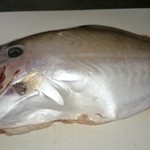 ダップスしまねお魚センター店 - お魚センターで購入カワハギ