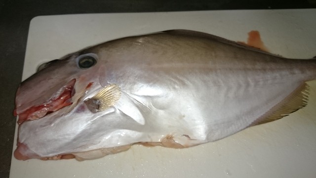 ダップスしまねお魚センター店 西浜田 うどん 食べログ