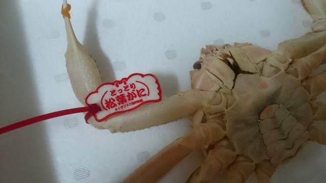 ダップスしまねお魚センター店 西浜田 うどん 食べログ