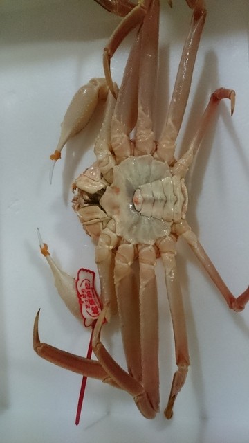 浜田市のお魚センターで天重を頂きました By Ys Y1111 ダップスしまねお魚センター店 西浜田 うどん 食べログ
