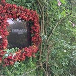 リストランテ　プリマヴェーラ - 