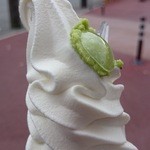 2015.11.11すりたてわさび