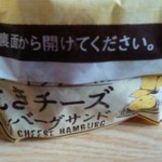 ケンタッキーフライドチキン - 袋がハンバーガーらしくないけど食べやすい！