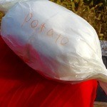 オーゾウ ベーグル - 