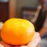 柳家 - みかん（2015/2）