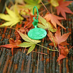 緒方 - 間人の証！海運丸はひたすら行く！