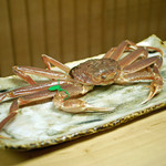 緒方 - 足の長い端正な間人蟹（たいざがに）！