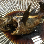 吾妻 - 金メバルの煮付け