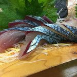 関サバ 背の部分