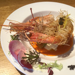 シュヴァル・ドゥ・ヒョータン - 