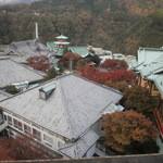 富士屋ホテル - フォレスト館5階からの景色（H.27.11)