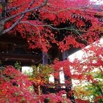 ル・ピックアシエット - 智積院！！(ﾟ∀ﾟ)