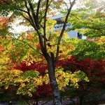 ル・ピックアシエット - 智積院！！ヽ(^o^)丿