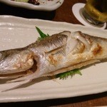 すずき - お任せ1