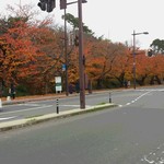 可否屋 葡瑠満 - 弘前城　堀端の桜の紅葉
