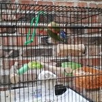 イノダコーヒ - 