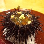 日本料理 たかむら - うに・・。
