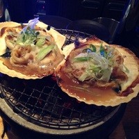 ダイナミックキッチン＆バー 燦 大阪店 - 
