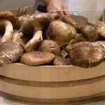 くろぎ - 宇和島産早取れ松茸（'10/7）