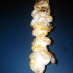 やきとり 一龍 - ぼんじり