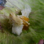 絶景レストラン うずの丘 - ふぐの身をレタスに乗せてポン酢ジュレ、エノキとともに食べてみた、、っクぅ～～＞＜）