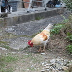 ジャックのパン屋 - 番トリ！？