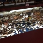洋酒喫茶ロダン - カウンターに埋め込まれているガラスの中の貝殻
