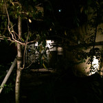 肉家かぐら - 「2015．11」