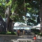 The Beach Bar - 