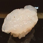 HASHIDA - しろえび