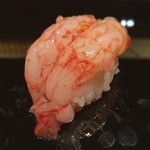 HASHIDA - ホッカイシマエビ
