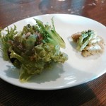 Shiero pittsuria - サラダ+前菜