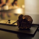 山田チカラ - トリフ