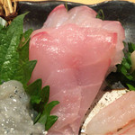 日本酒庵　吟の杜 - H27.11.22 吟盛