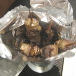 トラットリア ダイ パエサーニ - 仔羊のアロスティチーニ(5P)　￥1200