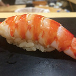 鮨 はしもと - 2015/11_にぎり⑧車海老