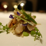 カンテサンス - 