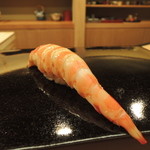 日本橋蛎殻町 すぎた - 車海老2015.11