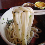 田舎うどん てつ - 2008年4月　うどん　アップ