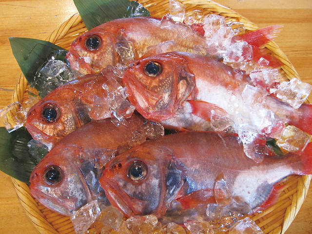 写真 2ページ目 房総魚男 ボウソウフィッシュマン 木更津 居酒屋 食べログ 写真 2ページ目 房総魚男 ボウソウフィッシュマン 木更津 居酒屋 食べログ